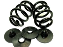 55224724KPL10, 55224724KPL10 - Задние шайбы пружины vw transporter t5 t6 комплект