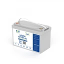 Аккумулятор вольт польша lifepo4 bms 12.8v 100ah bluetooth + нагревательный коврик