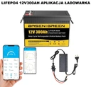 12v 300ah 12.8v 3840wh lifepo4 акумуляторна батарея smart bms bluetooth app