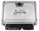 038906019KG - Skoda super b5 (3u) 2007 контроллер блока управления двигателем 038906019кг