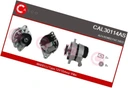CASCAL30114AS/RS7 - Casco cal30114as генератор