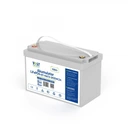 Акумулятор вольт польща lifepo4 bms 12.8v 100ah bluetooth + гр.мат