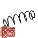 104704 - Пружины задней подвески mercedes b 180 cdi 200