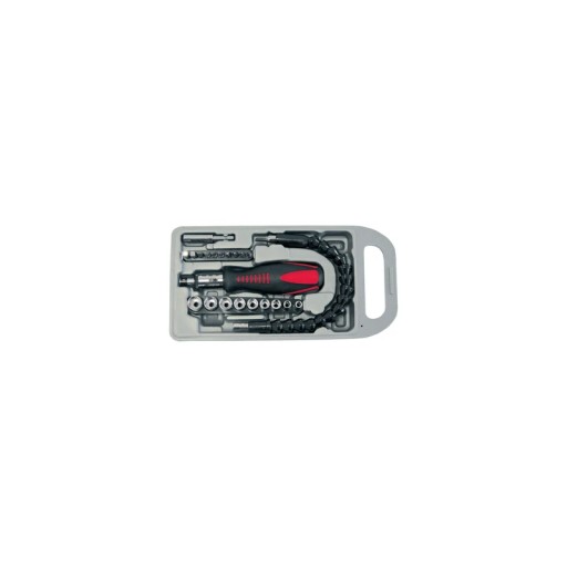 10008 Викрутка універсальна з грецьким CrV, набір - 23 елемента, Proline