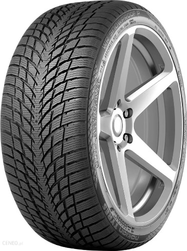 1N 245/45R18 100 В Nokian WR Снегозащитный P