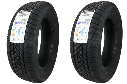 2 x 205/60R16 XL 96H MP93 Nordicca Matador ЗИМА