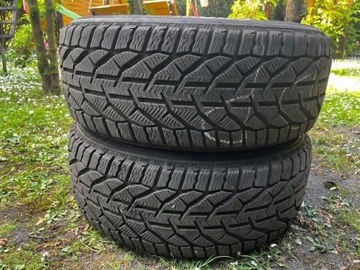 2 зимние шины Sebring Snow 225 50 17 98 V