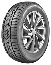 2 зимові шини Sunny Wintermax NW211 255/40R19 100 V XL