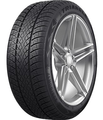 2 зимние шины Triangle X TW 401 195/55R20 95 H