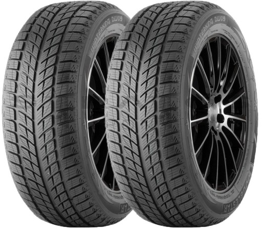 2x 225/45/18 T XL FR DoubleStar DW09 WINTERKING