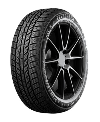 2x EVERGREEN EW 62 195/60R15 88 T