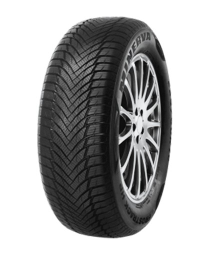 2x MINERVA FROSTRACK HP XL 195/55R16 91 В
