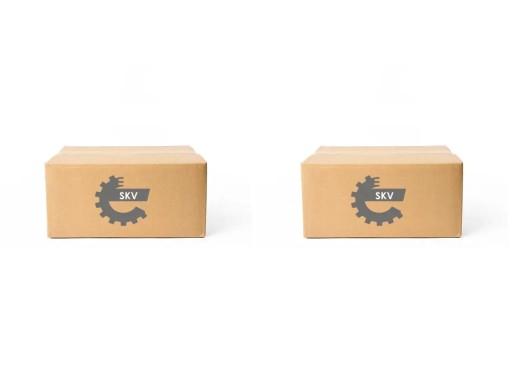 01SKV21 21 - 2x стеклоподъемника ESEN SKV FRONT L+R для VW POLO, POLO 9N