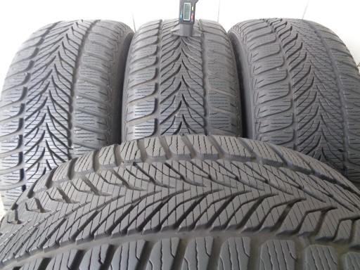 4x Winter SAVA ESKIMO HP 205/55R16 91H 7,9 мм