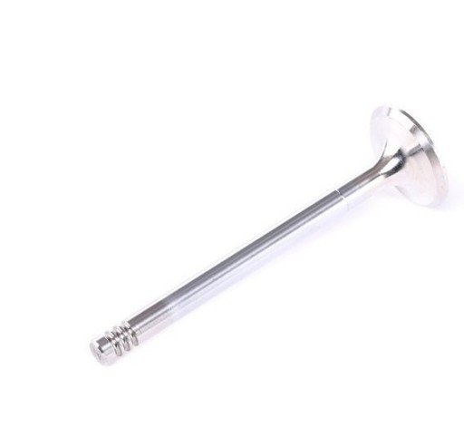 AE v80024 Випускний клапан