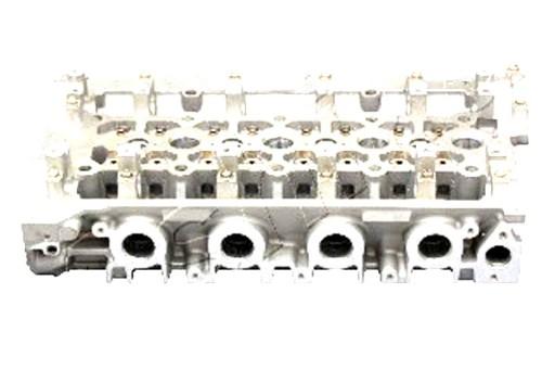 NS017S - АШИКА ГОЛОВА