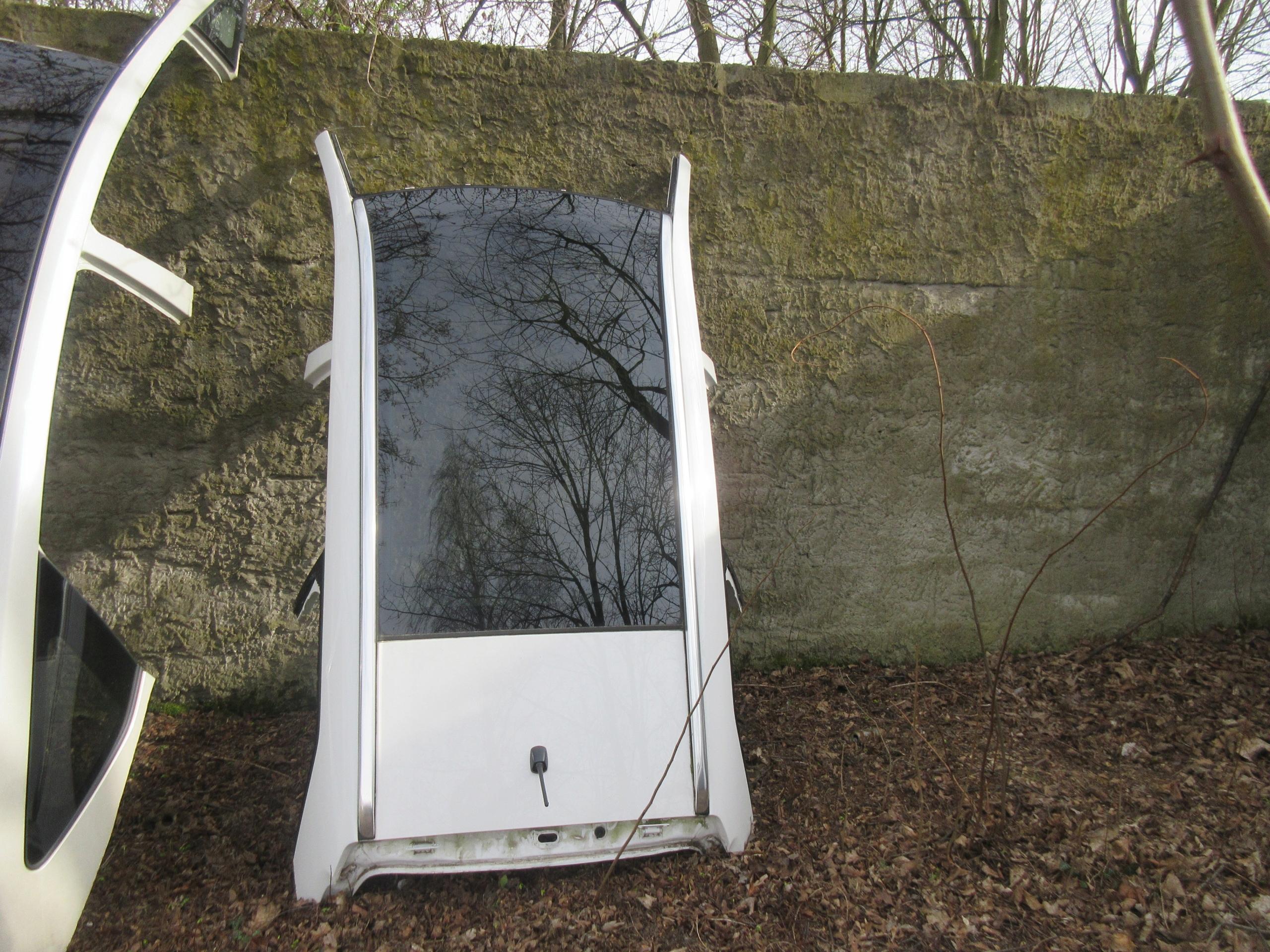 AURIS II УНІВЕРСАЛ ДАХ ПАНОРАМА СКЛО 040