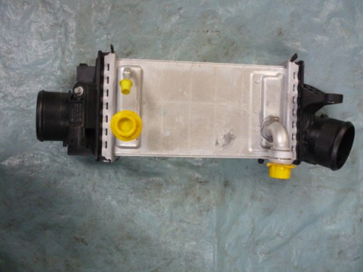 Інтеркулер Alfa Romeo Stelvio QUADRIFOGLIO