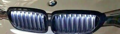 Решетка BMW 5 серии G30 63172468333 левая Iconic