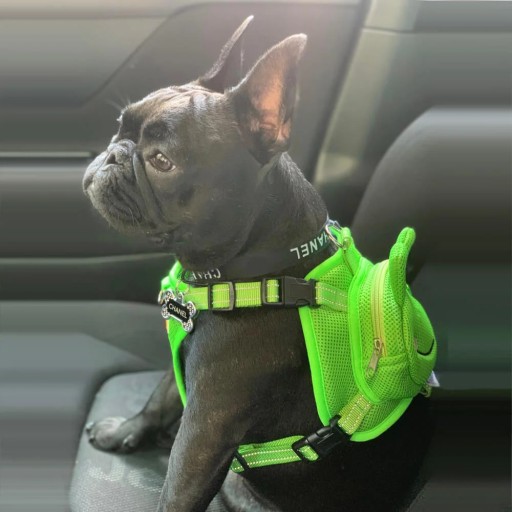 БЕЗКНОПОЧНЫЕ РЕМНИ ДЛЯ РЮКЗАКА ДЛЯ ПИКНИКОВ