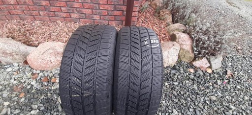 BLACKLION SNOWPIONEER BW56 225/55R16 99H XL (L973)