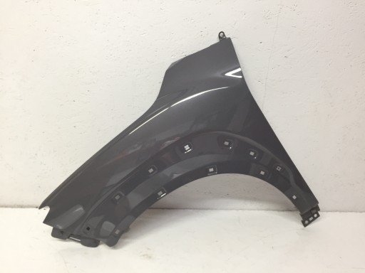 54565-E100R3G - Hyundai Kapa лівий фронт Fender Color R3g