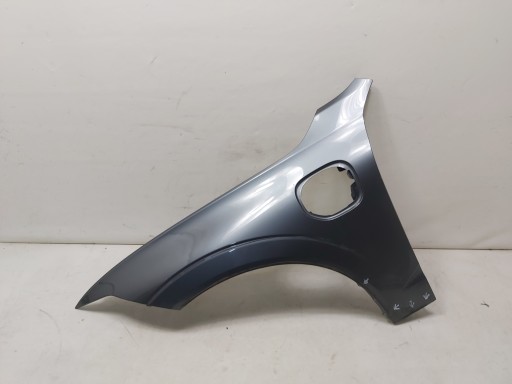 BŁOTNIK - Blugguard Left Front Volvo XC60 XC 60 II Гибрид