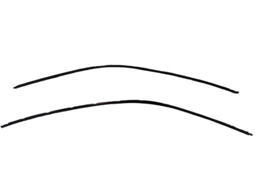 BMW F44 Литва крыша левая правая 7483155 7483156