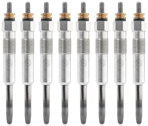 Bosch 0 250 202 142 Glow Glow