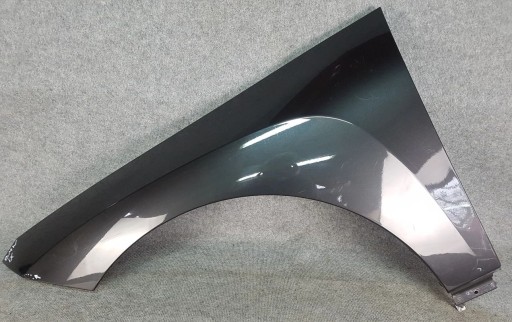 Buckguard Left Front - BMW IX I20 2021-
