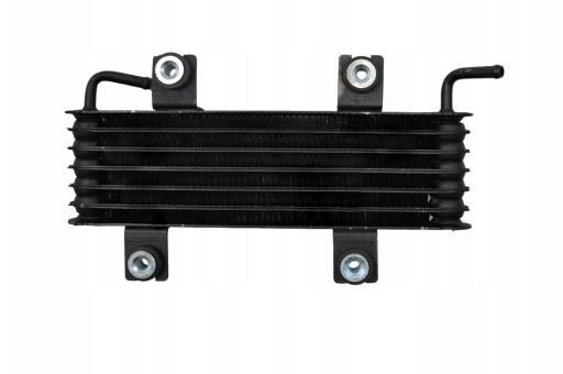 216061KX5A - МАСЛООХОЛОДЖУВАЧ NISSAN JUKE 1.6 2010-