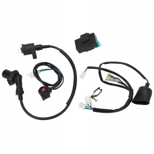 1618230119211 - Жгут проводов катушки зажигания CDI с выключателем