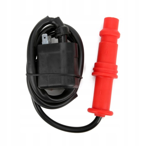 1618210280011 - Котушка запалювання зі свічкою 3089239