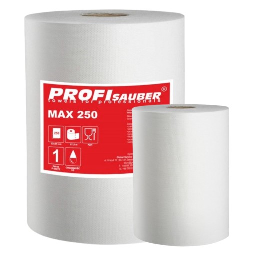 Non сплетенная промышленная чистящая машина ProfiSauber MAX 250 Professional