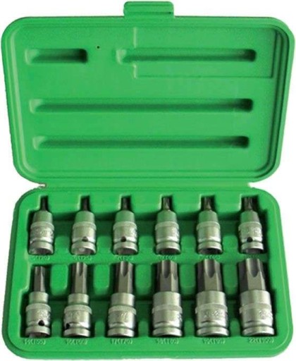 D.51261 Головки Torx Т20-Т100, 12 шт.