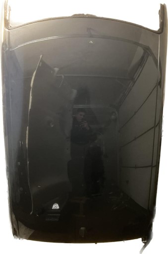 КРЫША RENAULT TWINGO III TEGNE