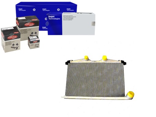 DEL/TSP0755007/ZAPS - ІНТЕРКУЛЕР DELPHI CITROEN C5 2.2D 3.0D 04/09> ,
