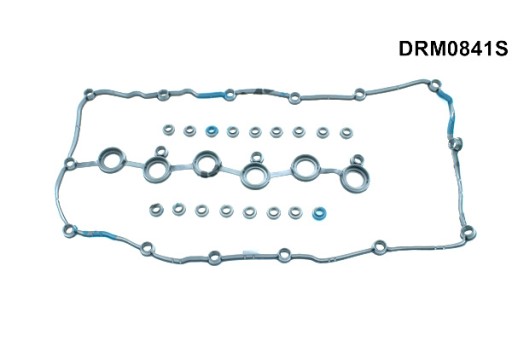 DRM0841S - DR. MOTOR AUTOMOTIVE КОМПЛЕКТ ПРОКЛАДОК КЛАПАННОЇ КРИШКИ VAG