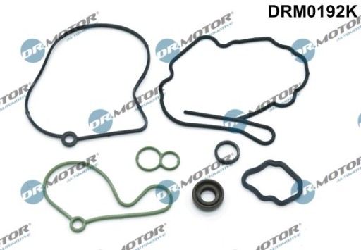 DRM0192K - DRM0192K DR. MOTOR АВТОМОБИЛЬНЫЙ КОМПЛЕКТ НАПР. 2.0 TDI НЕБОЛЬШОЙ ВАКУУМНЫЙ НАСОС