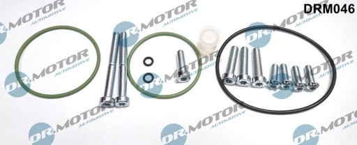 DRM046 - DRM046 DR. MOTOR АВТОМОБИЛЬНЫЙ КОМПЛЕКТ НАПР. ВАКУУМНЫЙ НАСОС AUDI A4 2,5 TDI