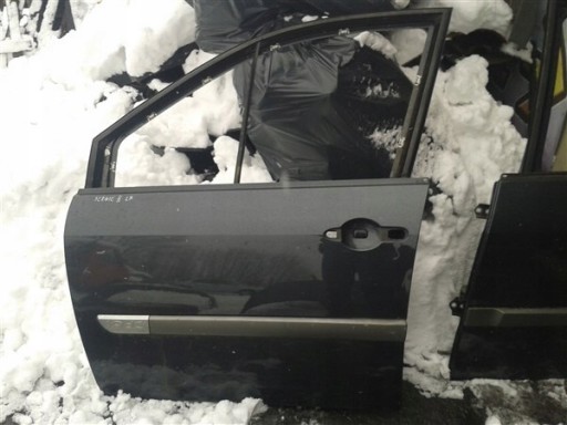 ДВЕРІ ПЕРЕДНІ ЛІВІ RENAULT SCENIC 2 TEB66