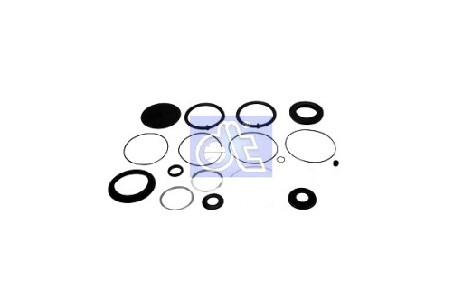 2.95119 - DT ЗАПАСНІ ЧАСТИНИ RVI MIDLUM PREMIUM РЕМОНТНИЙ КОМПЛЕКТ НАСОСА