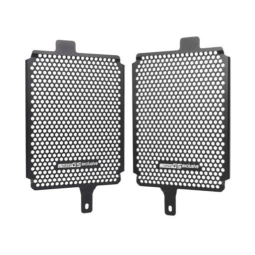 Эксклюзивный дизайн: кожух и бачок радиатора R1250GS