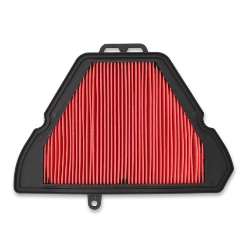 Елемент повітряного фільтра T2204820 Змінний