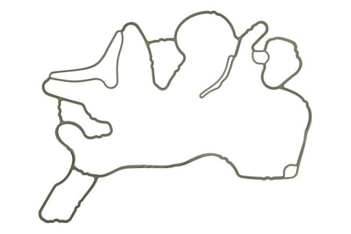 Elring 444.900 прокладка, привід ГРМ