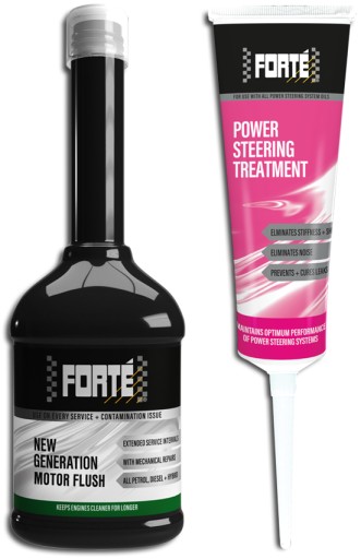 FORTE 09-4 НЕСПРАВНОСТІ В СИСТЕМІ ГІДРОПІДСИЛЮВАЧА КЕРМА