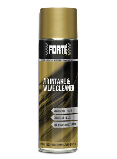 FORTE AIR INTAKE AND VALVE CLEANER-ОЧИЩЕННЯ ВПУСКУ