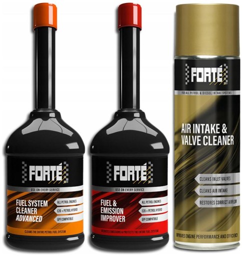 FORTE пакет бензин профилактика ремонт впрыски топливная система кольца