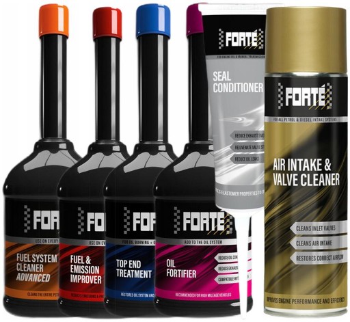 FORTE пакет бензин профилактика ремонт впрыски топливная система кольца