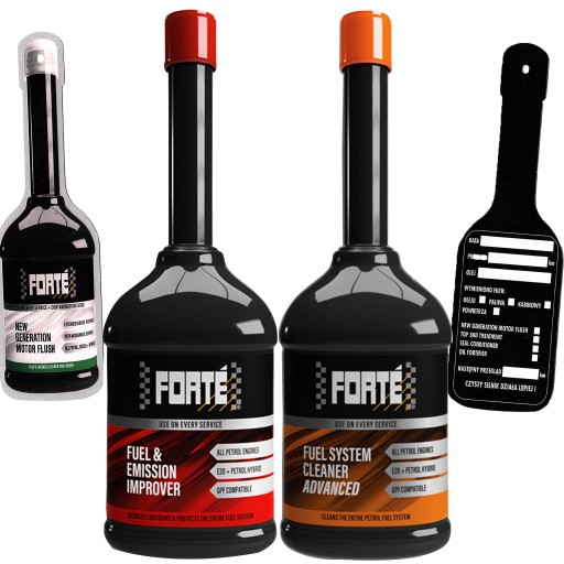 FORTE РЕМОНТНЫЙ КОМПЛЕКТ БЕНЗИН ПРОФИЛАКТИКА ПАКЕТ